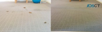 Carpet cleaning services near me