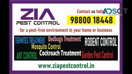 Zia Pest control | effective pest control solutions | Rodent control | 2022