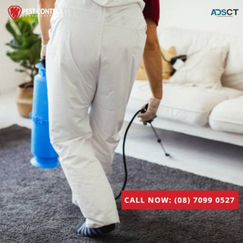 Top Commercial Pest Control Services in Perth