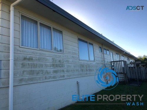 Expert Mould Removal Services in Gold Coast