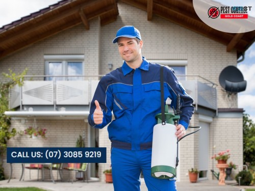 Expert Building Inspection in Gold Coast: Trusted Local Inspectors