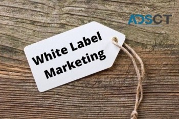 White Label Digital Marketing Services