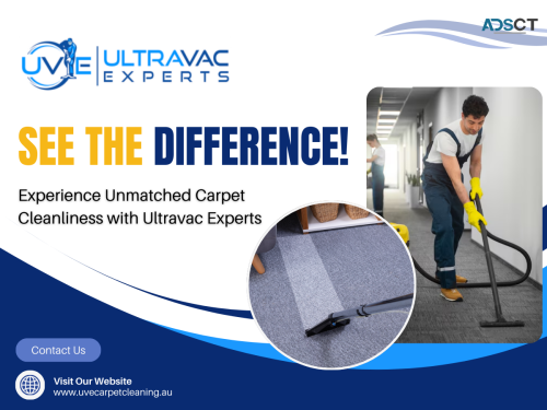 Need Carpet Cleaning in Putney? Choose Ultravac Experts!