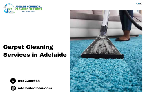 Professional Carpet Cleaning Services in Adelaide 