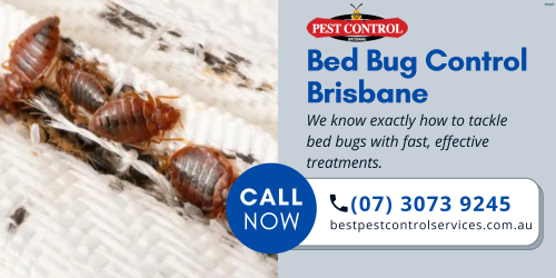 Bed Bugs Making Your Nights Unbearable?