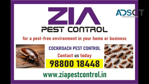 Cockroach Treatment | Paying Gueste | Restaurent | Zia pest control | 2075