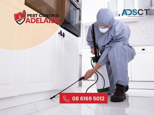 Best Pest Control Adelaide