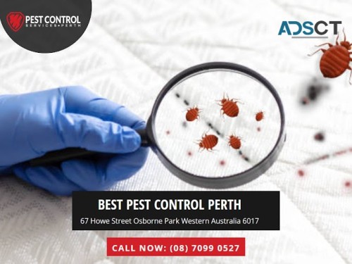 Best Pest Control Perth 