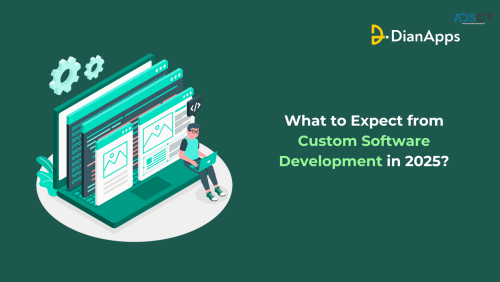 What to Expect from Custom Software Dev.