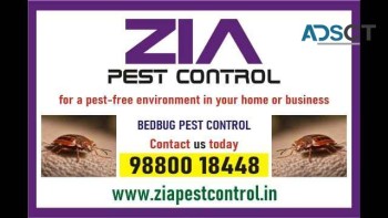 Zia Pest Control | General Pest control Upto 20% Off  | AMC service | 3075