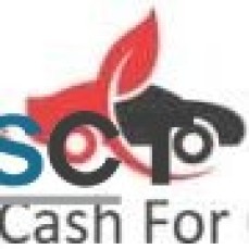 Ecocashforcars.com.au