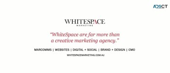 Whitespace Marketing