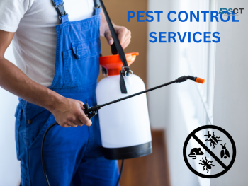 Peace of Mind with Reliable Pest Control in Point Cook