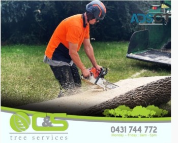 Get Trusted Tree Lopping Service