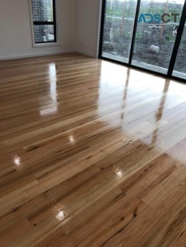 High-Quality Tasmanian Oak Timber for Sa