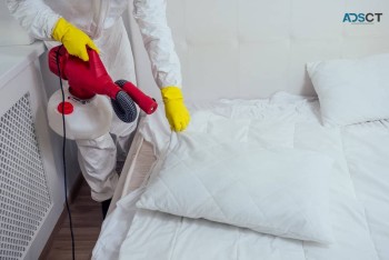 711 Bed Bugs Control Sydney