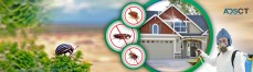 SureFire Pest Control