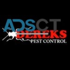 Dereks Wasp Control Brisbane