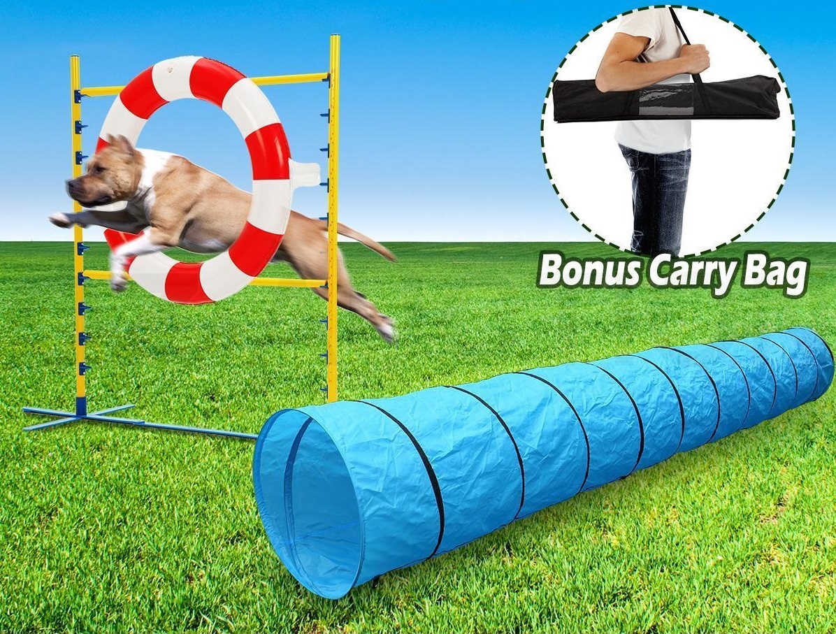 Pet Dog Agility Jump Training Set  Z2800