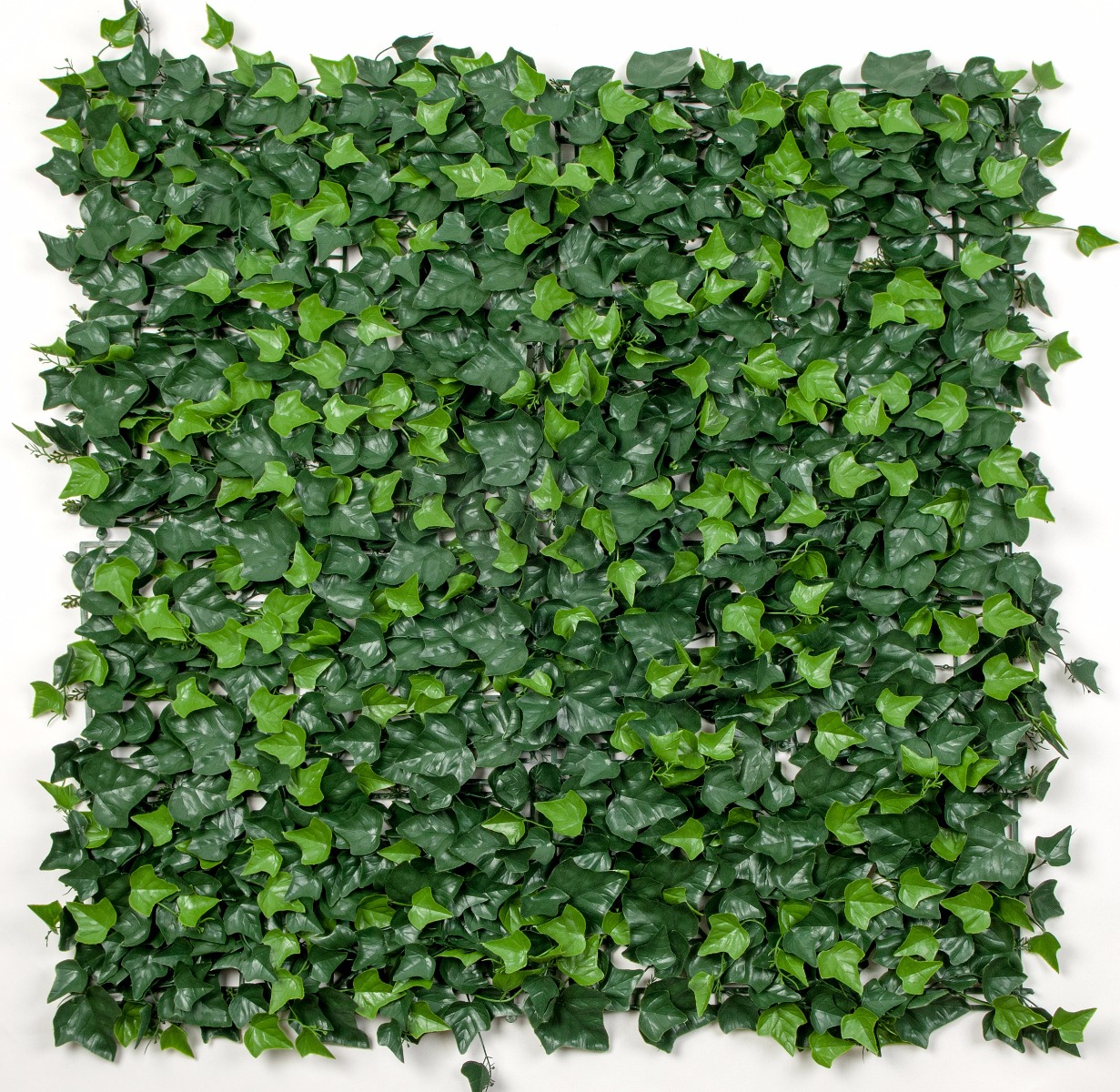 Ivy Leaf Screens / Panels UV Stabilised 1m X 1m  Z3081