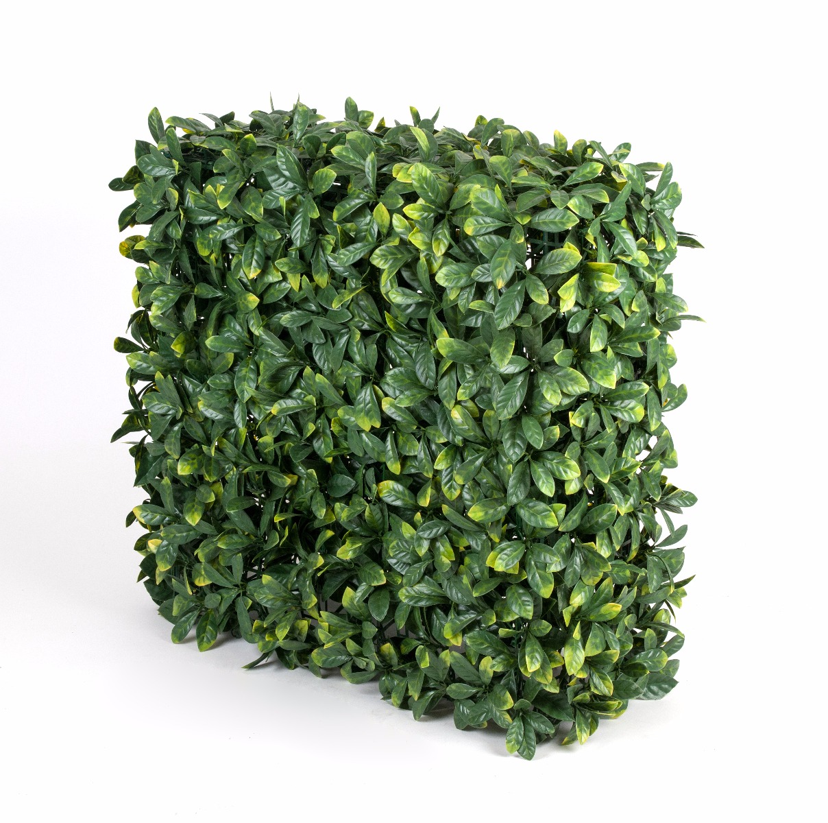 Portable Laurel Hedge UV Stabilised 75cm X 75cm  Z3082