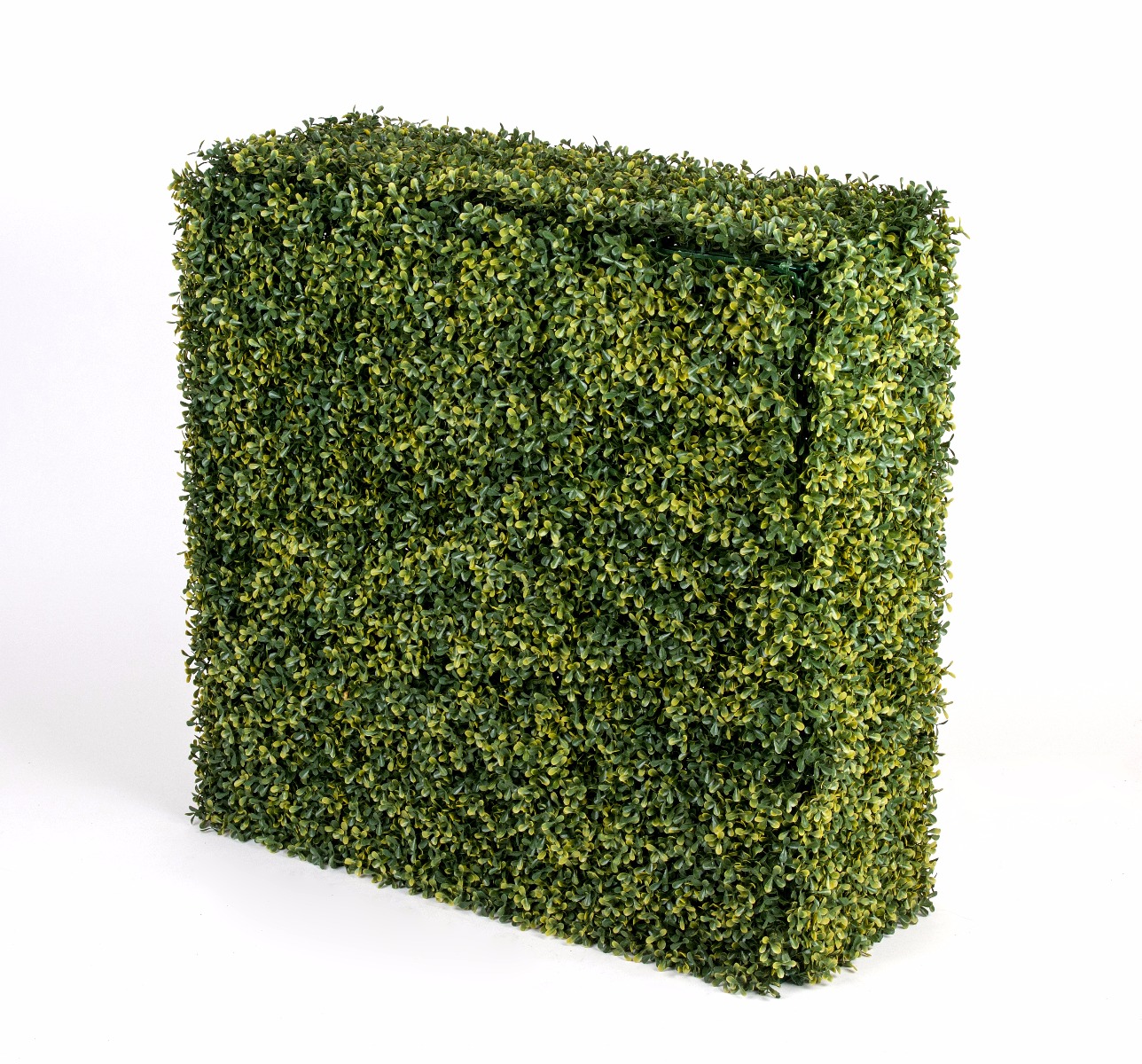 Portable UV Yellow Boxwood Hedge UV Stabilised 75cm X 75cm  Z3084