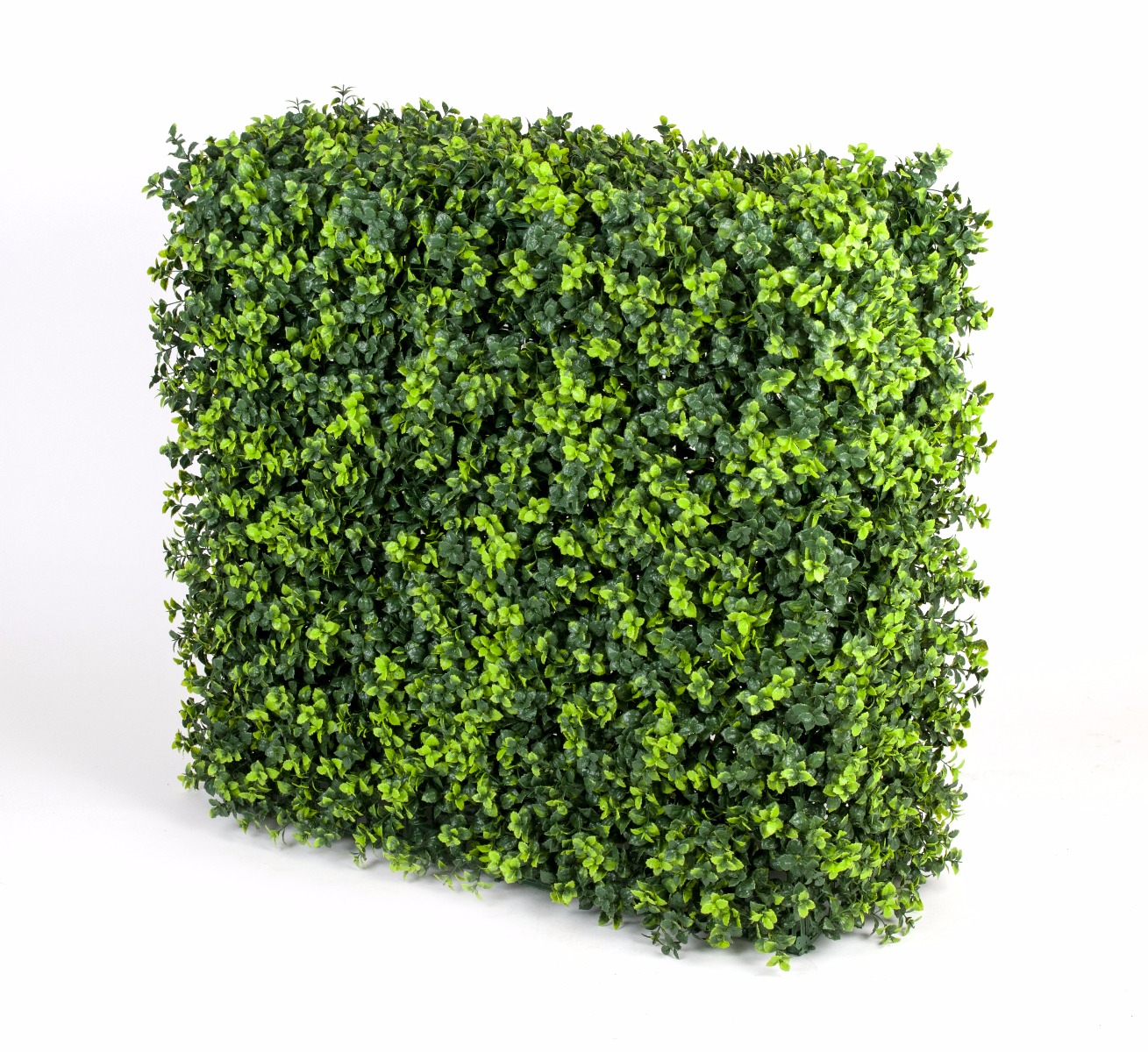 Portable UV Elm Hedge UV Stabilised 75cm X 75cm  Z3085