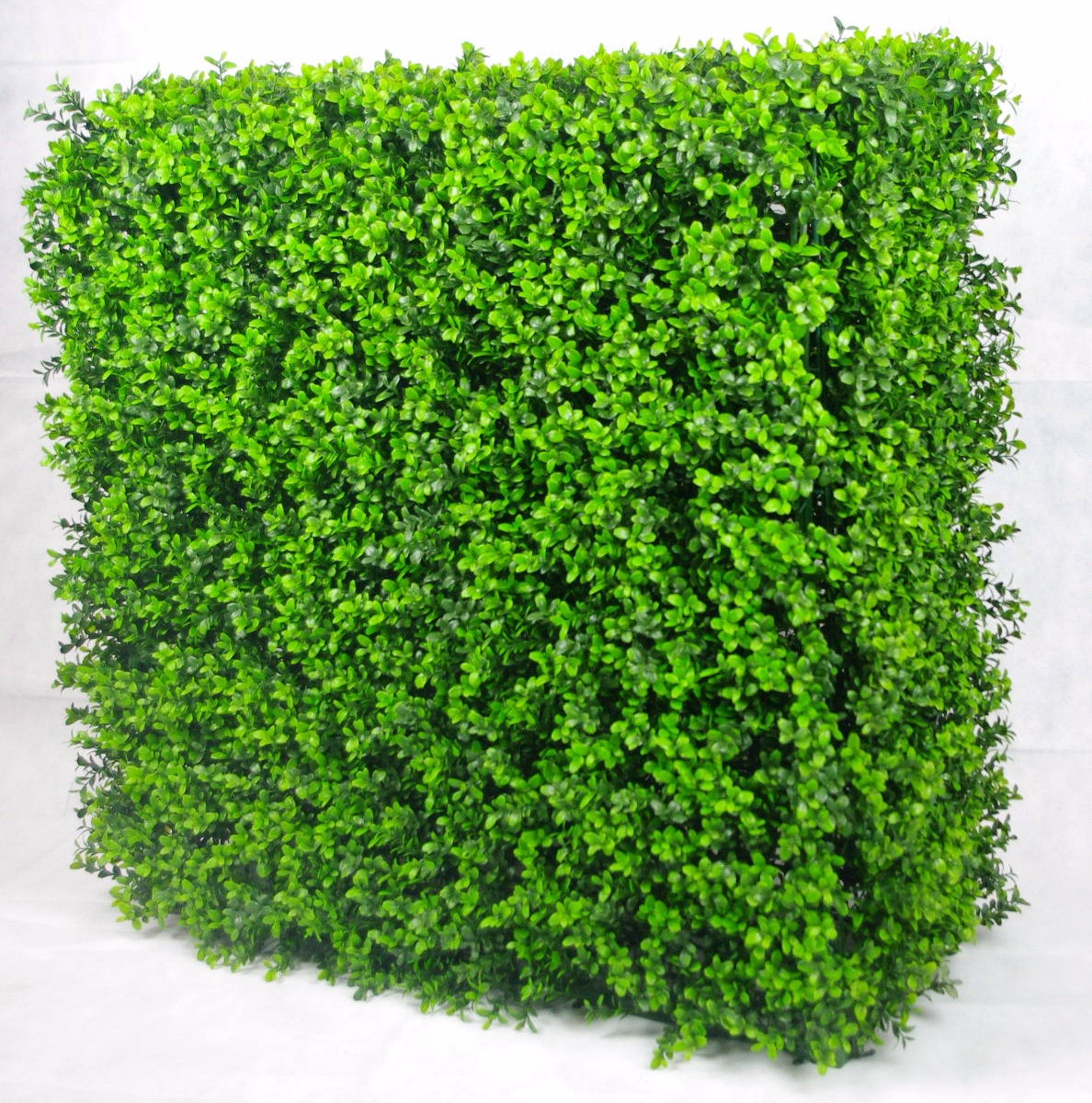 Portable Buxus Hedge UV Stabilised 75cm X 75cm  Z3090