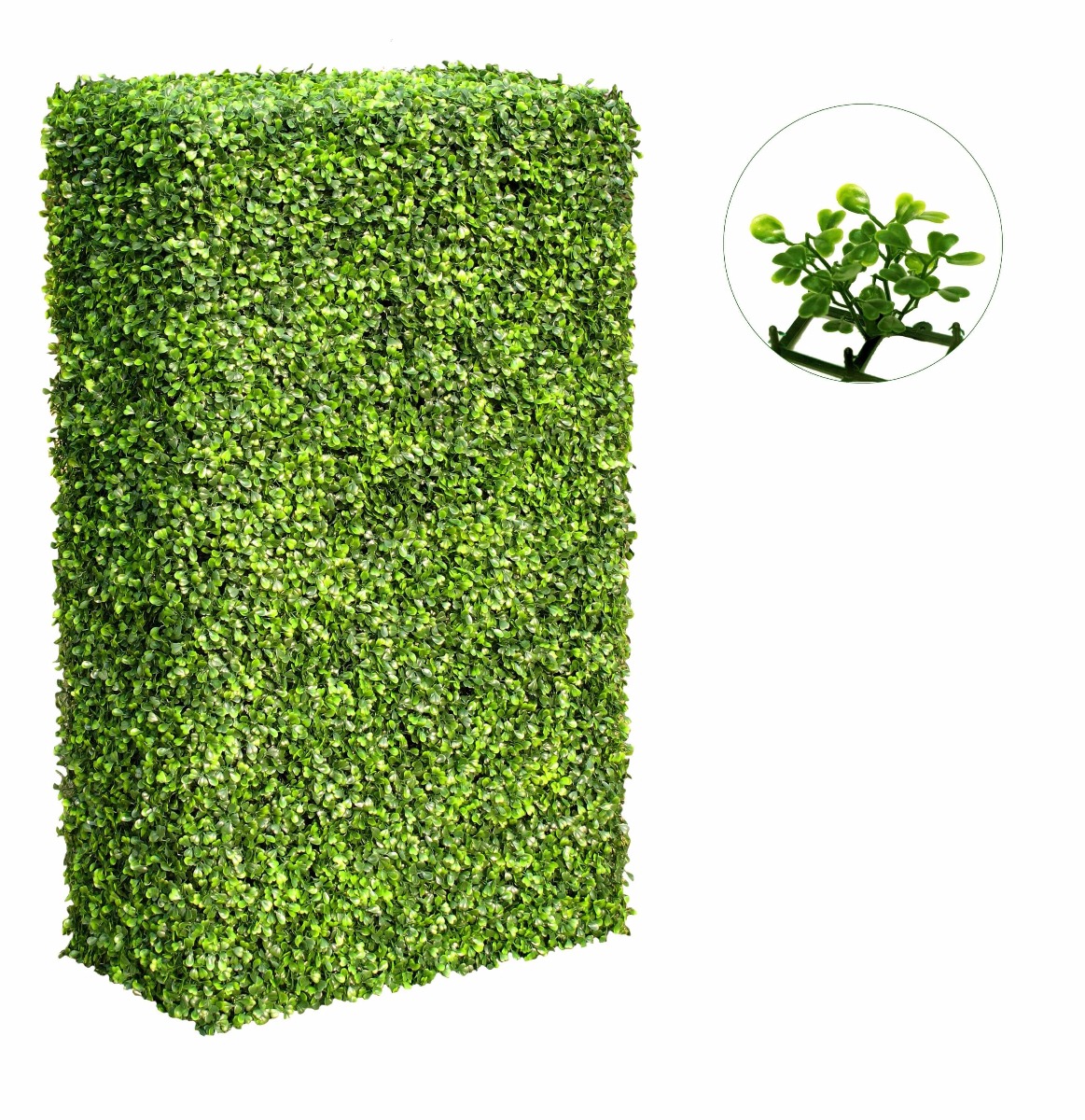 Large Portable Boxwood Hedges UV Stabilised 2m By 1m  Z3091