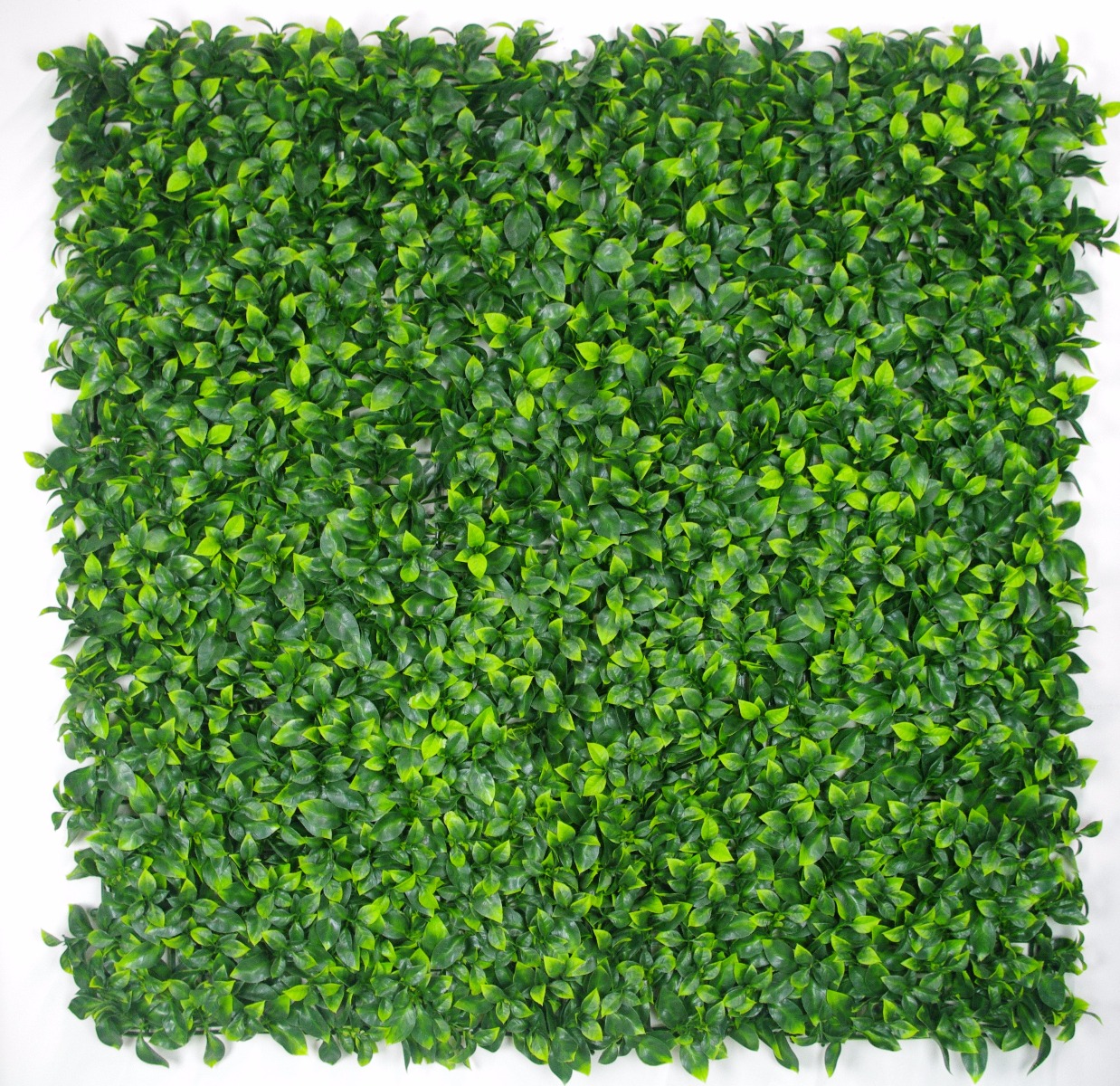 Jasmine Leaf Screens / Panels UV Stabilised 1m X 1m  Z3095