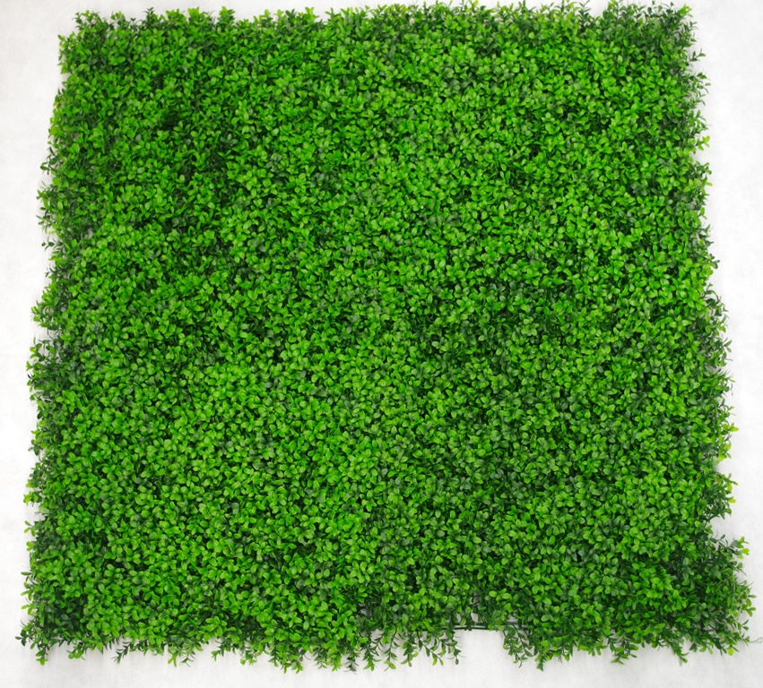 Deluxe Buxus Panels UV Stabilised 1m X 1m  Z3096