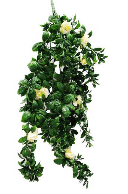 Hanging White Rose Stem UV 85cm  Z3102