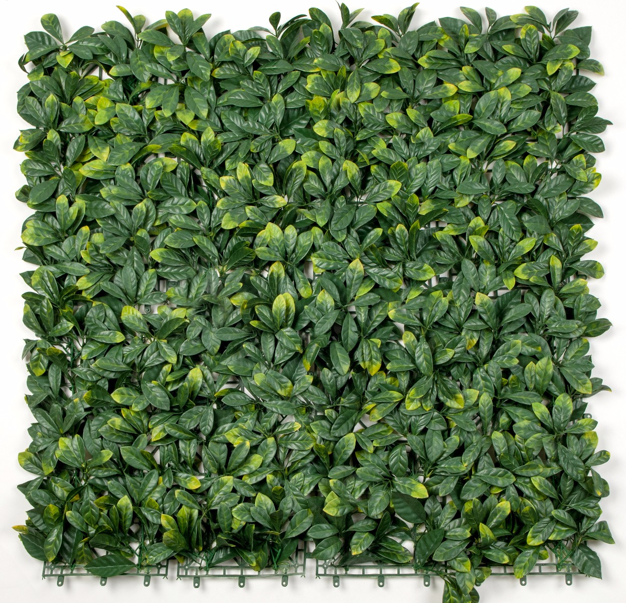 Laurel Leaf Screens / Panels UV Stabilised 1m X 1m  Z3106