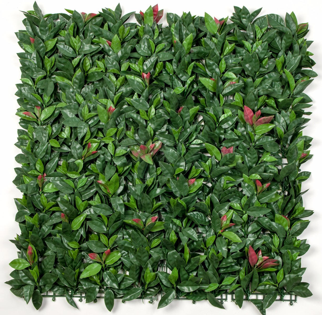 Photinia (Red Robin) Leaf Screens / Panels UV Stabilised 1m X 1m  Z3107