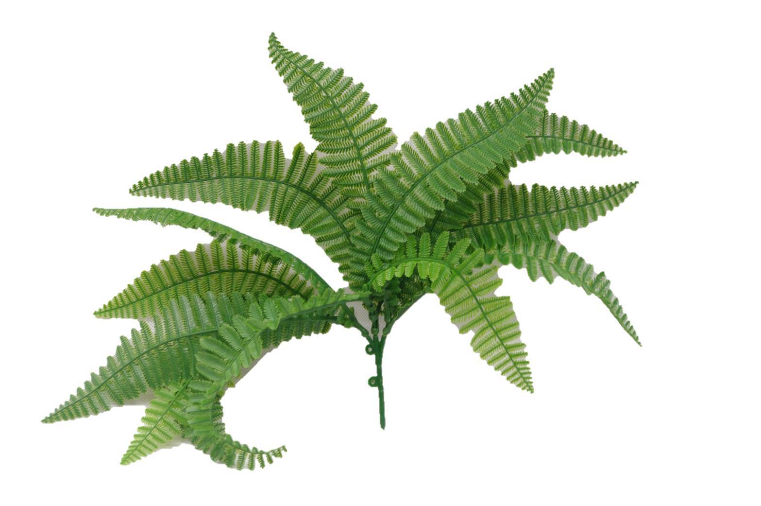 Fern Stem UV  Z3114