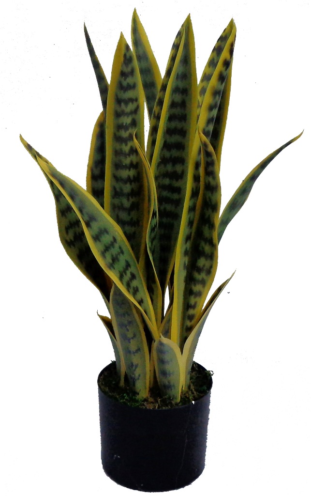 UV Artificial (Faux) Mother In Law Tongue / Yellow Tongue 58cm 7 Stems  Z3123