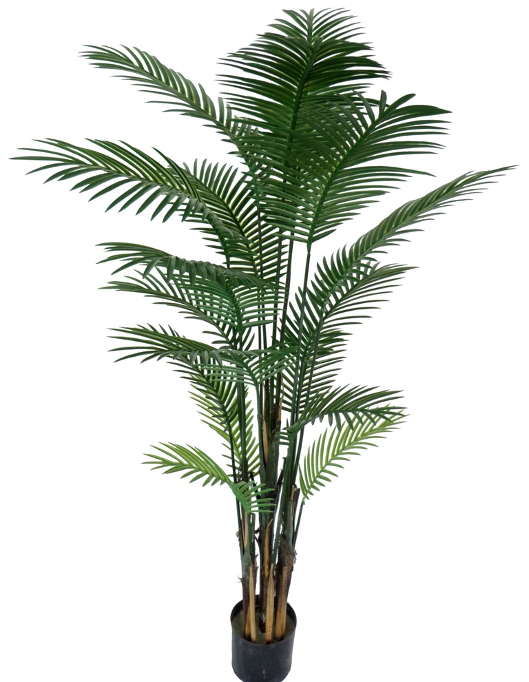 Artificial Robellni Phoenix UV Palm 152cm  Z3126