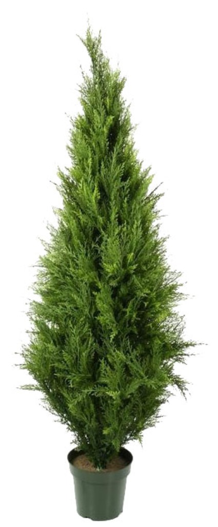 UV Resistant Cypress Pine Tree 2.1m  Z3128