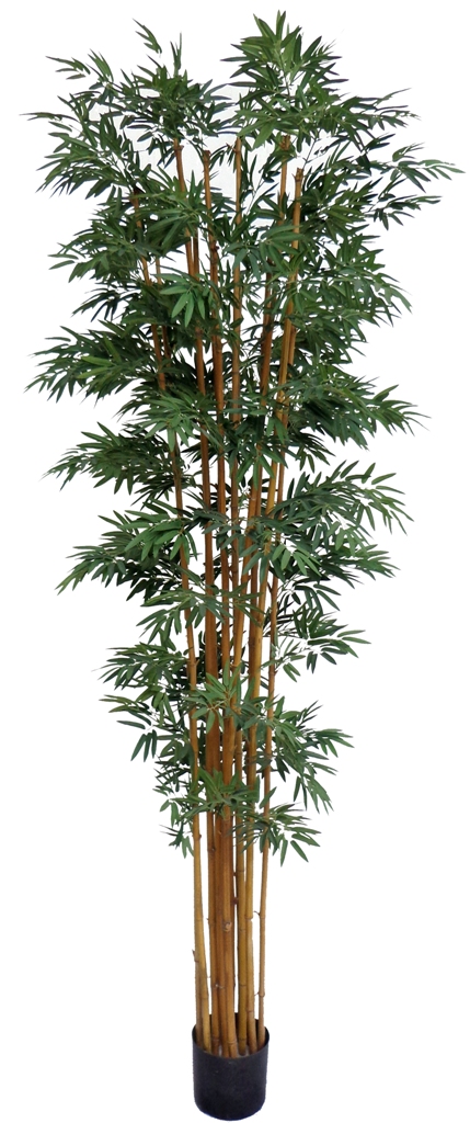 Artificial Japanese Bamboo On A Natural Trunk 2.1m  Z3132