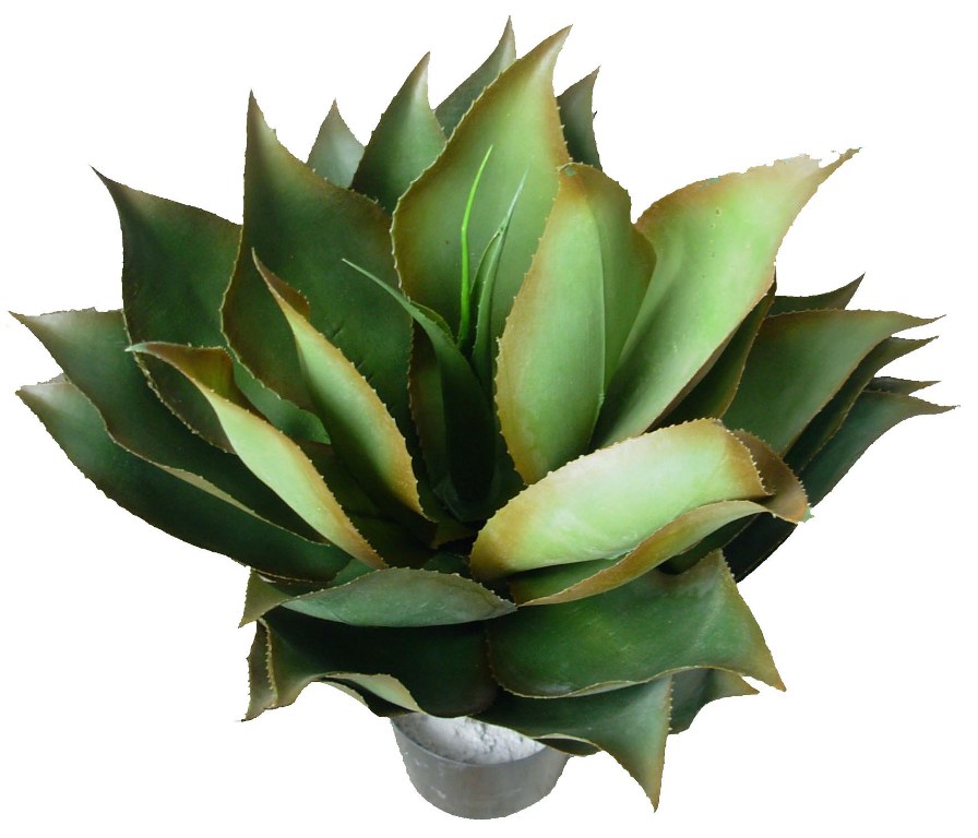 UV Resistant Agave Plant 60cm  Z3137