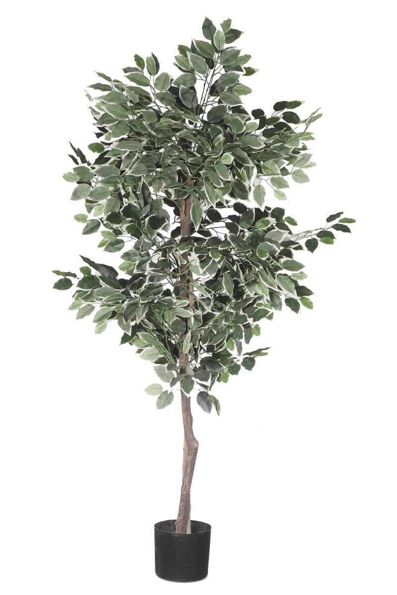 Bushy Artificial Ficus Tree 1.2m  Z3139