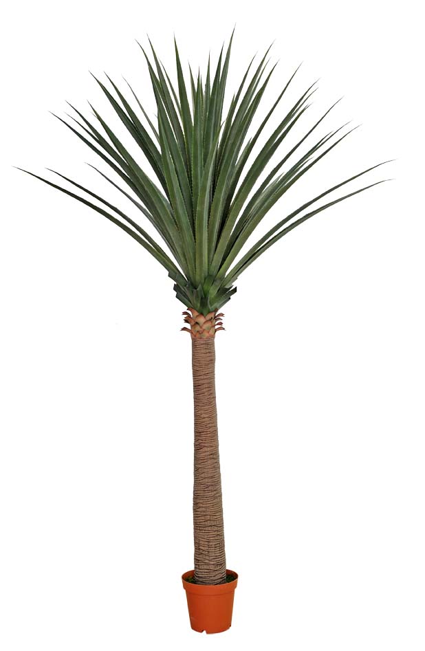 Large Artificial Dracaena (Yucca) 260cm  Z3143