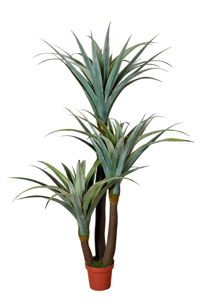 Artificial Dracaena With 3 Spines 180cm  Z3144