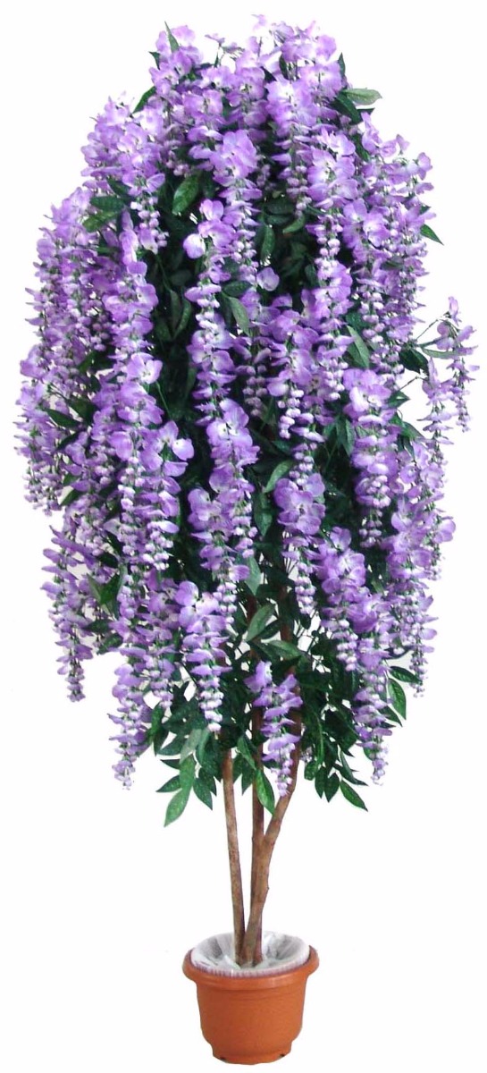 Draping Purple Wisteria 185cm  Z3152