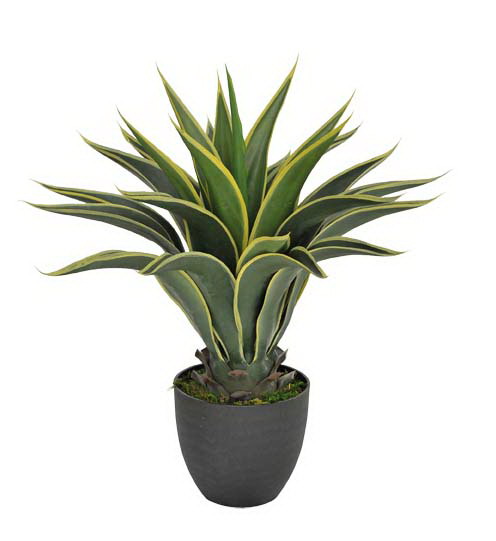 Artificial Agave 60cm  Z3157