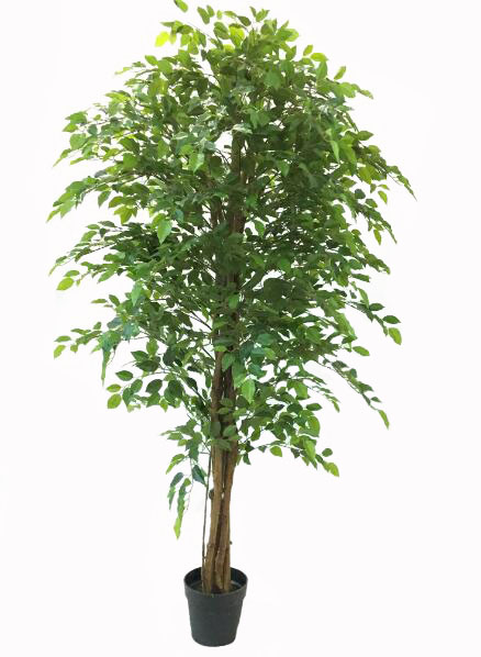 Artificial Bushy Ficus Tree 180cm  Z3165