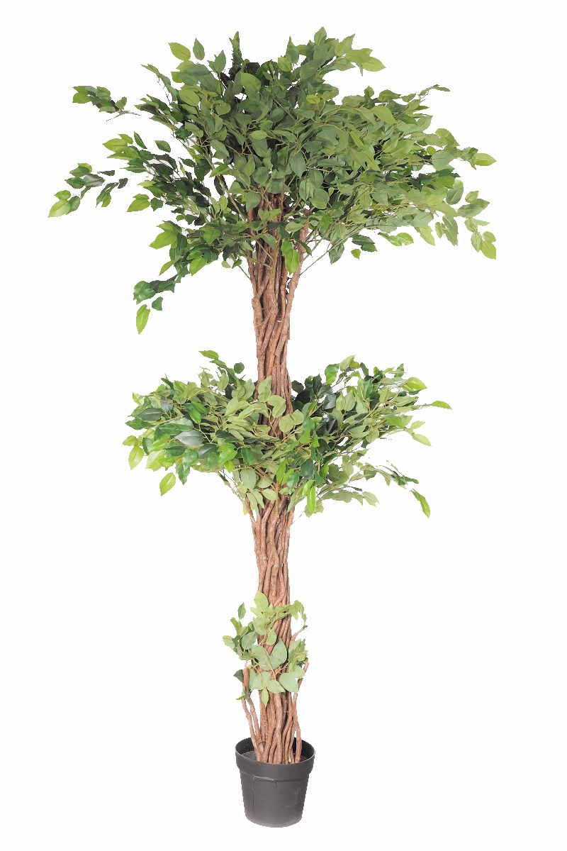 Artificial Three Level Ficus Tree 170cm  Z3167