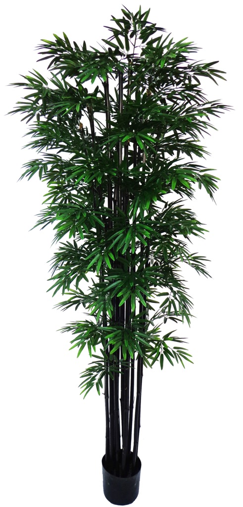 UV Stabilized Artificial Japanese Bamboo On A Black Trunk 2.1m  Z3168