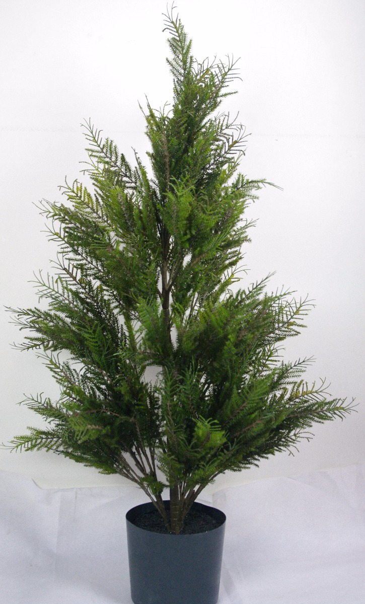 Cypress Pine 4ft - Highly Realistic  Z3172