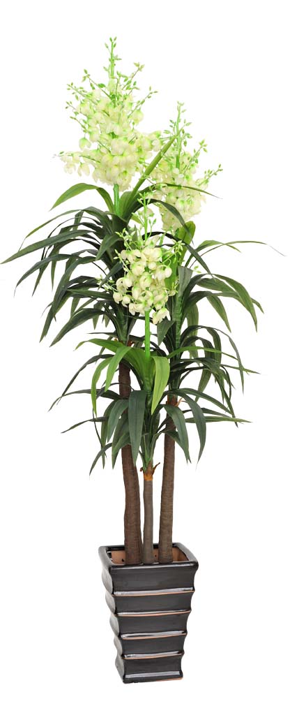 Artificial Sisal (Flowering Dracaena) Plant Multiple Heads 185cm  Z3173